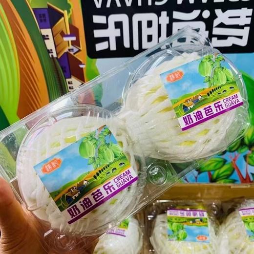 汉记 奶油芭乐（两个装/650g）|水果 商品图2