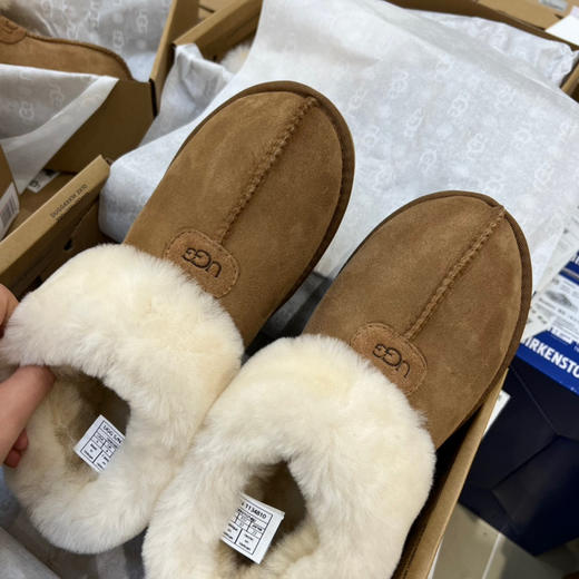 Ugg新款塔次特 -栗色 商品图3