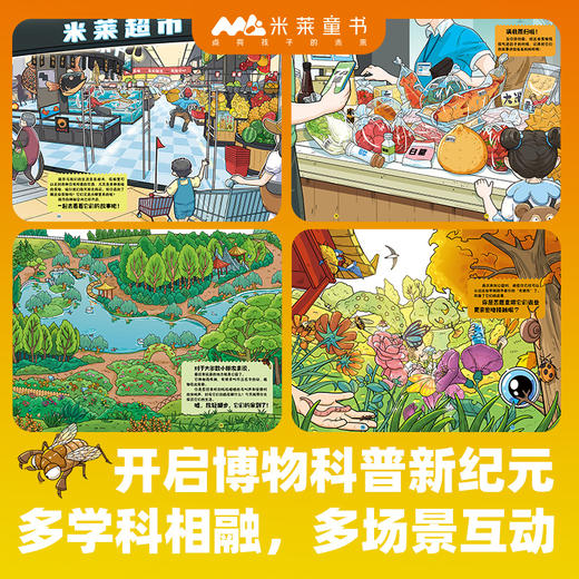 欢迎来到博物世界：给孩子的万物观察指南（共5册） 商品图6