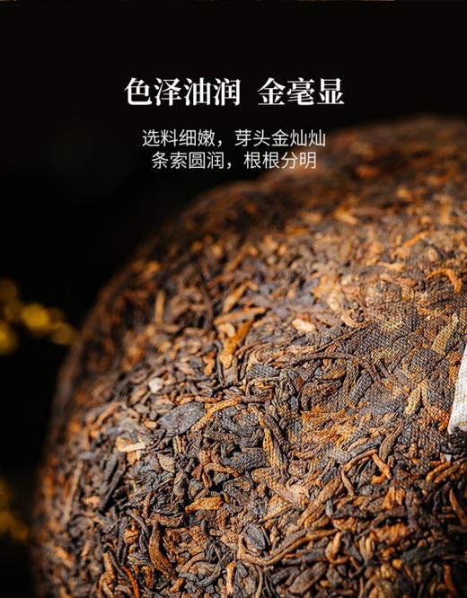 澜沧古茶八壹金瓜 （2022年熟茶） 商品图2