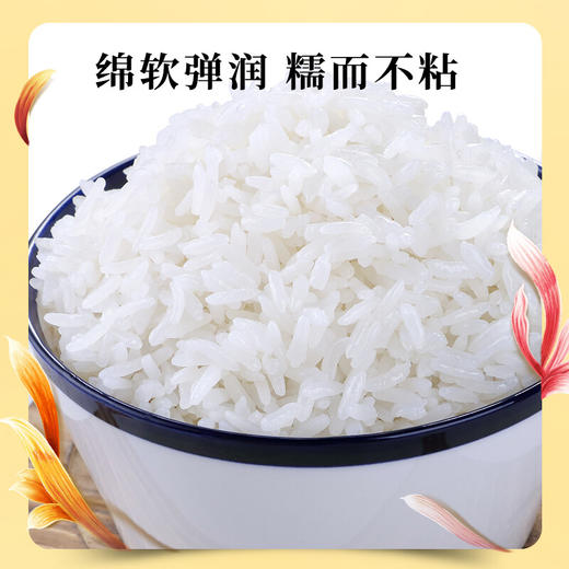 十月稻田 香米 稻花香2号 5kg 稻花香2号 东北大米  粳米 十斤 商品图5