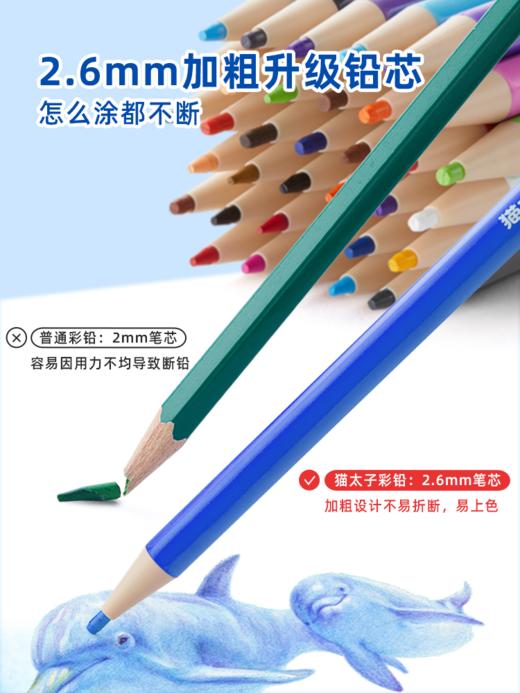 猫太子油性彩色铅笔绘画专业手绘12色儿童初学者小学生用美术素描画画彩铅套装专用填色一年级自动免削可擦 商品图3