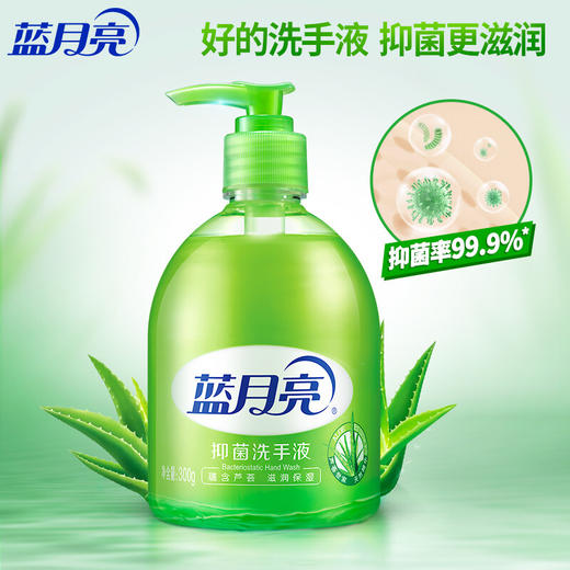 蓝月亮 芦荟抑菌洗手液300g/瓶 清洁抑菌99.9% 芦荟滋润 泡沫丰富易冲洗 抑菌洗手液 商品图1