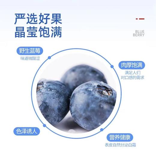 【3袋】 林野小铺野生蓝莓果干 50克/袋 A-2673 商品图1