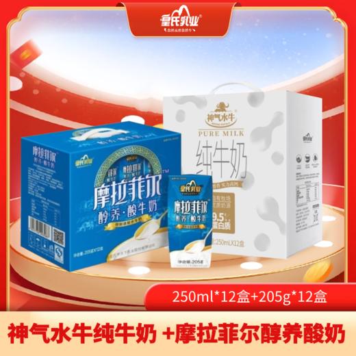 【组合特惠】神气水牛纯牛奶 250ml*12盒+摩拉菲尔醇养酸奶205g*12盒 商品图0