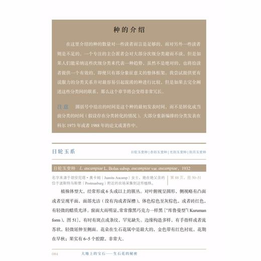 大地上的宝石——生石花的秘密 商品图4