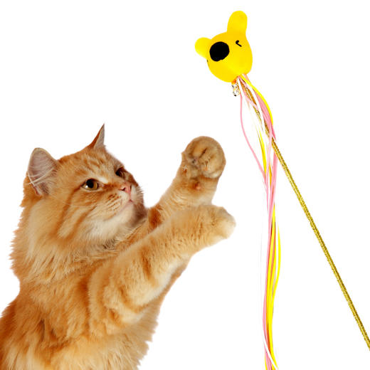宠物系列逗猫棒套装 商品图3