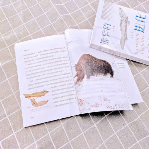 诡异的进化 冉浩 著 科普读物 商品图3