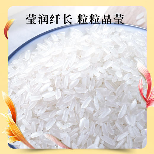 十月稻田 香米 稻花香2号 5kg 稻花香2号 东北大米  粳米 十斤 商品图4