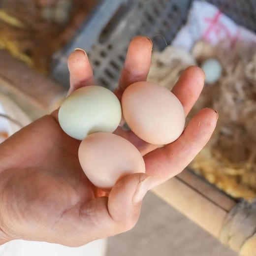 新鲜土鸡蛋农家富硒鸡蛋土鸡跑山老母鸡早餐食材 商品图1