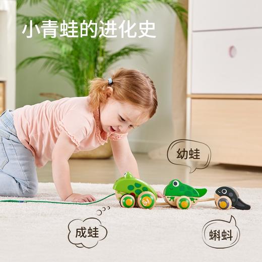 T hape   E0365AE   拖拉青蛙家族 商品图3