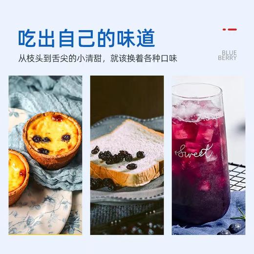 【3袋】 林野小铺野生蓝莓果干 50克/袋 A-2673 商品图3