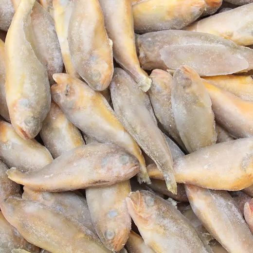 速冻小黄花鱼(500g±50g) 商品图0