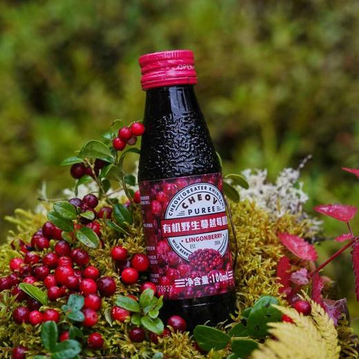 日期2024林野小铺有机野生蔓越莓原浆100ml 8瓶/箱 保质期12个月 商品图1