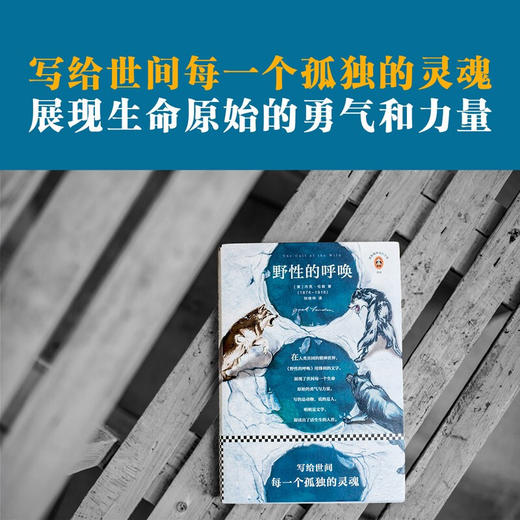 野性的呼唤 杰克·伦敦 著 小说 商品图1