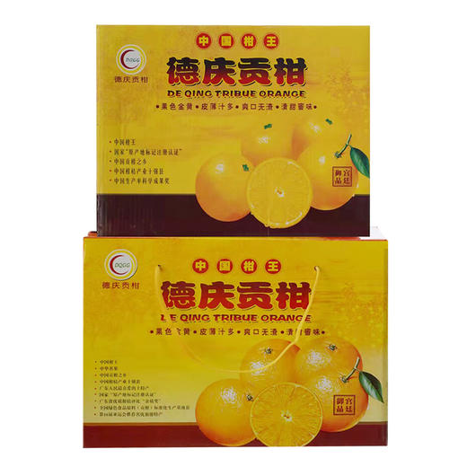 广东德庆贡柑【顺丰包邮】 商品图3