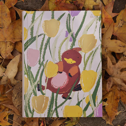 花与鸭嘴兽（自然感悟丛书） 天冬 林雨飞 著 商务印书馆 商品图2