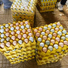 新鲜土鸡蛋农家富硒鸡蛋土鸡跑山老母鸡早餐食材 商品缩略图3