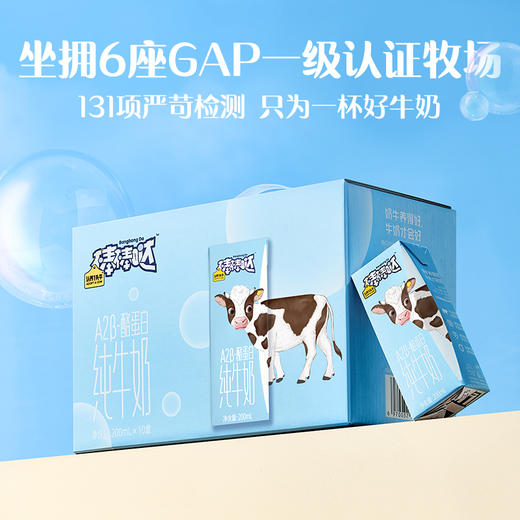 认养一头牛棒棒哒A2β-酪蛋白儿童全脂纯牛奶A2儿童牛奶营养早餐奶200ml*10盒*2提装 送礼佳选 商品图1