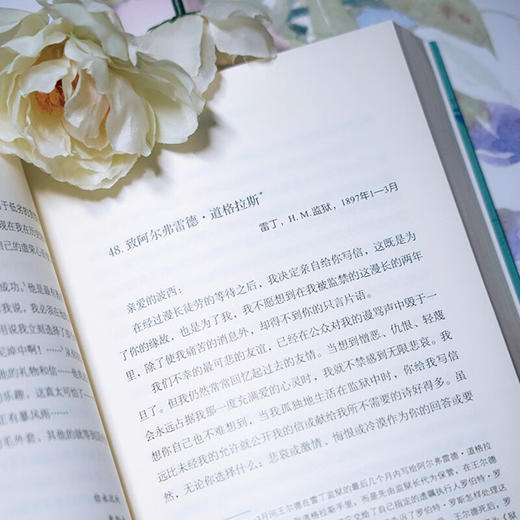 美之陨落：王尔德书信集 [英]奥斯卡·王尔德 著 孙宜学 译 商务印书馆 商品图6