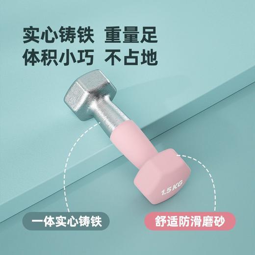 哑铃女士健身家用男士小哑铃小学生实心铁浸塑铁练臂肌 商品图2