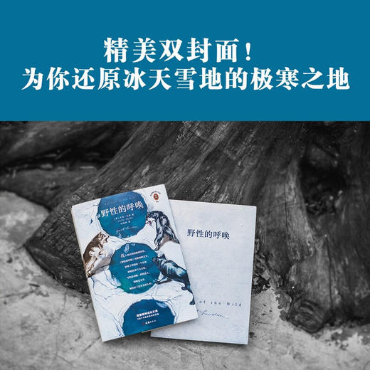 野性的呼唤 杰克·伦敦 著 小说 商品图2