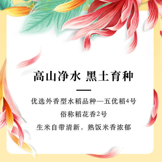 十月稻田 香米 稻花香2号 5kg 稻花香2号 东北大米  粳米 十斤 商品图3