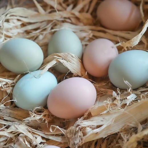 新鲜土鸡蛋农家富硒鸡蛋土鸡跑山老母鸡早餐食材 商品图0