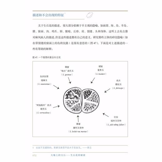 大地上的宝石——生石花的秘密 商品图2