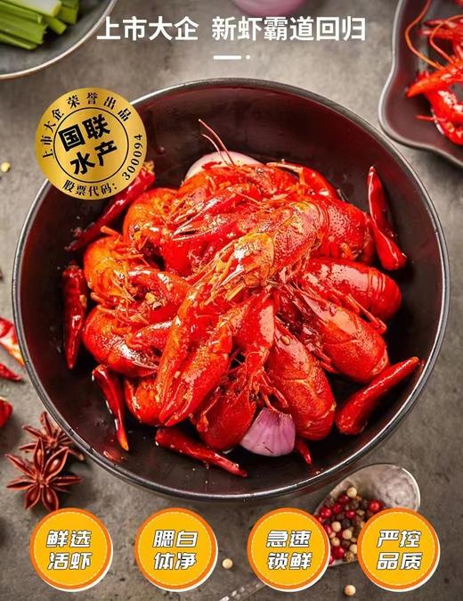 国联龍霸小龙虾 750g 商品图0