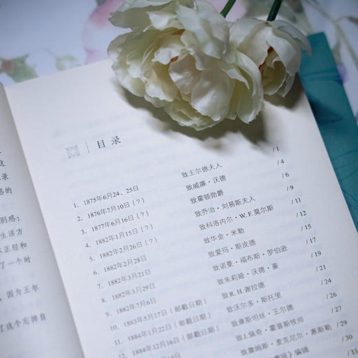 美之陨落：王尔德书信集 [英]奥斯卡·王尔德 著 孙宜学 译 商务印书馆 商品图7