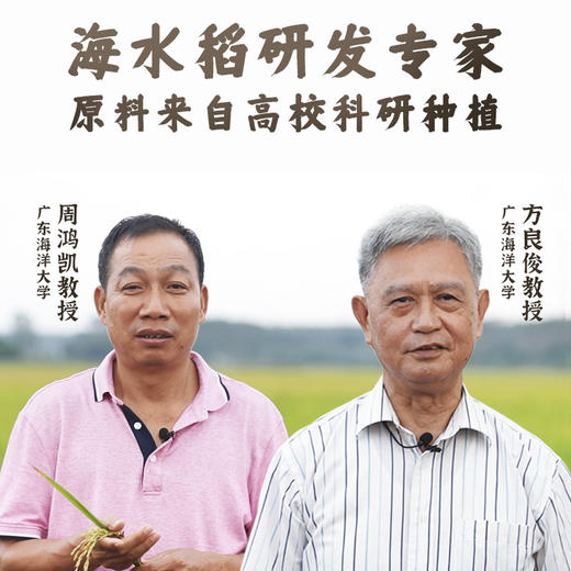 海红丞天下 商品图2