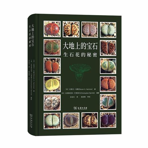 大地上的宝石——生石花的秘密 商品图0