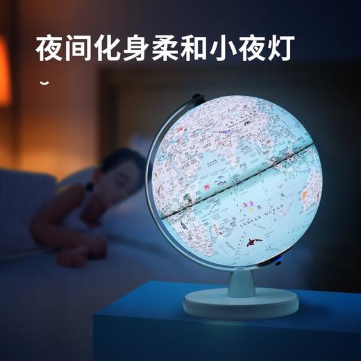 北斗双子座儿童AR智能地球仪20cm可亮灯中学生用摆件 商品图2