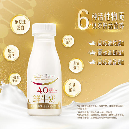【每日鲜语·鲜牛奶】250ml*8瓶装  4.0g/100ml蛋白  低温新鲜高钙鲜奶 商品图3