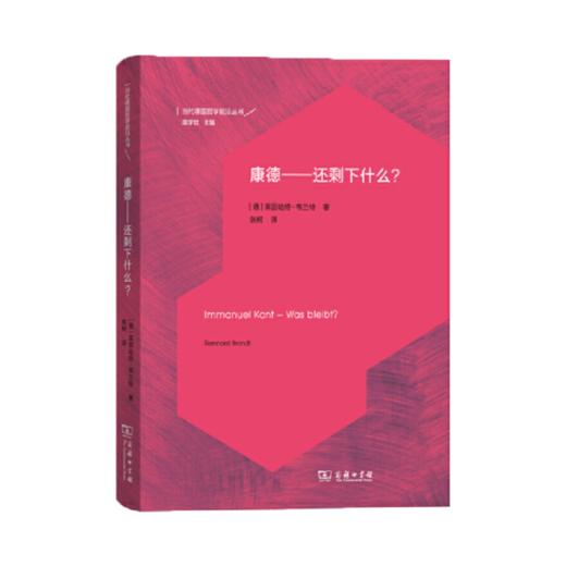 康德——还剩下什么？（当代德国哲学前沿丛书） 商品图0