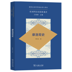 摩洛哥史（非洲阿拉伯国家通史） 林松业 著 商务印书馆