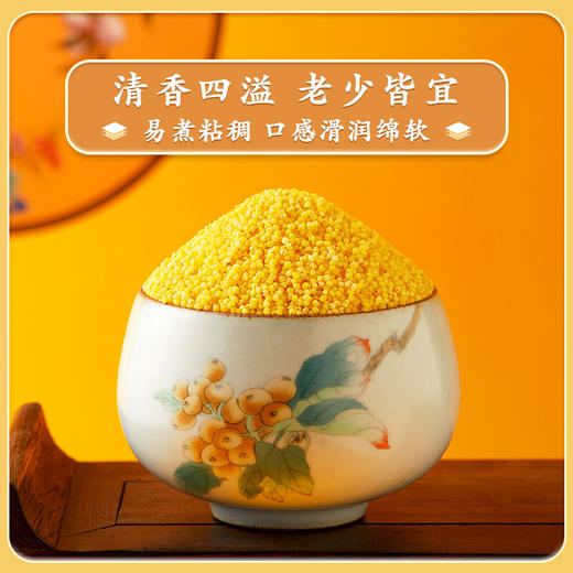 柴火大院 黄小米 （杂粮  小米粥  真空装 粥米伴侣）2kg 商品图2