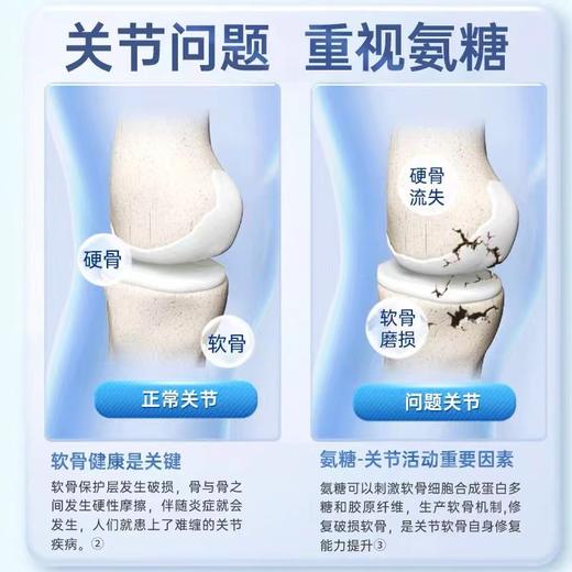 南京同仁堂氨糖软骨素 60片/盒 商品图4
