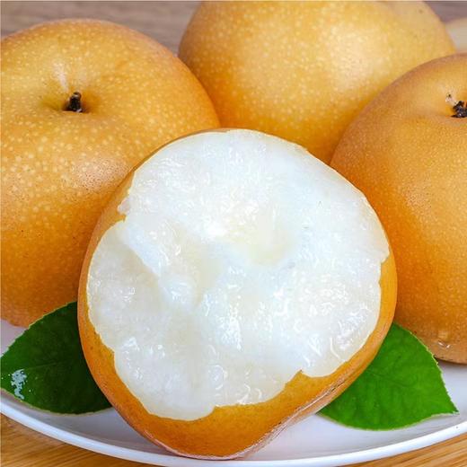 山东秋月梨 6粒装 净重约4-5斤 商品图1