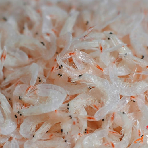 虾皮新鲜上市 怎么做都好吃，色泽鲜润，虾体饱满，味道鲜美 商品图3