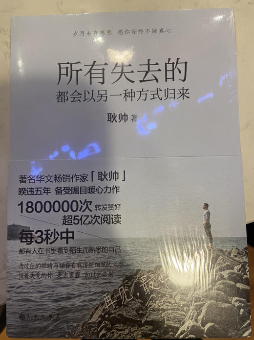 所有失去的 商品图0