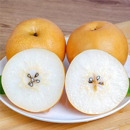 山东秋月梨 6粒装 净重约4-5斤 商品图2