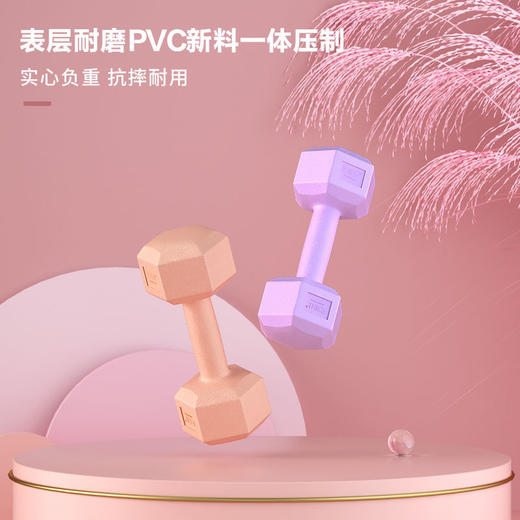 【2只装】哑铃女生健身器材家用一对初学者儿童练臂肌套装男运动小哑铃 商品图2