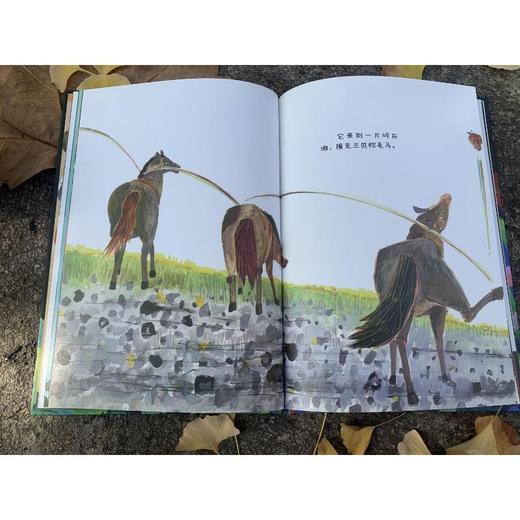 一个苹果滚下山 商品图2