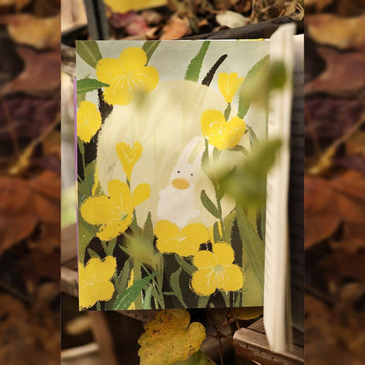 花与鸭嘴兽（自然感悟丛书） 天冬 林雨飞 著 商务印书馆 商品图5