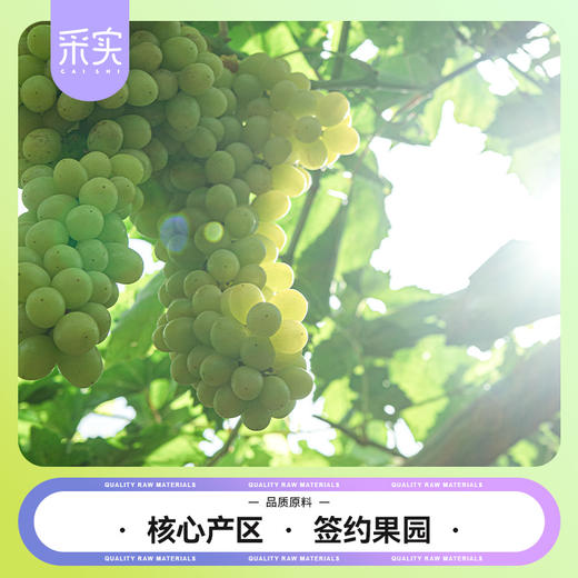 s  采实四色葡萄干168g/袋 商品图2