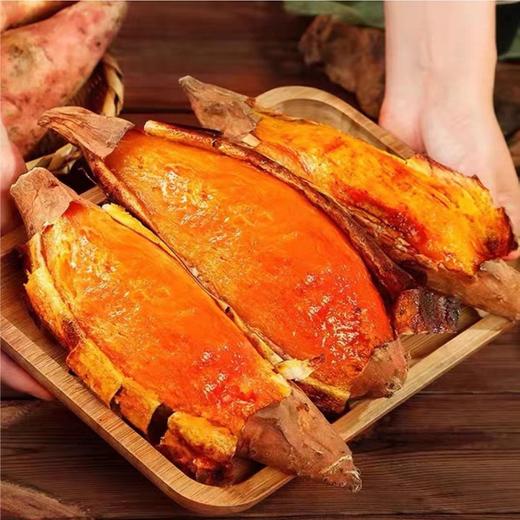 山东烟薯25号 5斤 商品图1