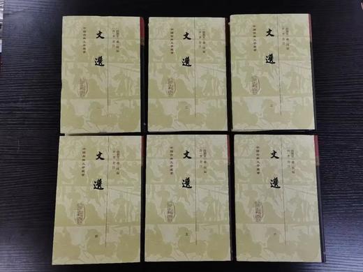 中国古典文学丛书：《文选》，全6册，梁 萧统编，唐 李善注，上海古籍出版社2019年版，精装定价480，售价228元。品相9成 商品图1
