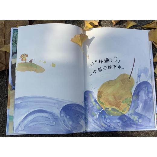 一个梨子掉下水 商品图4